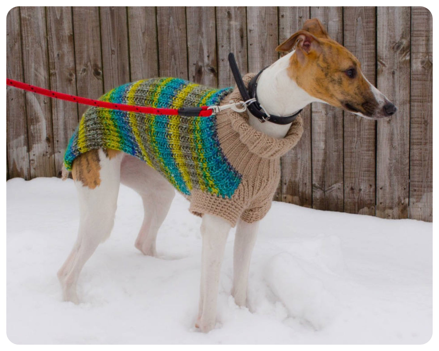 HANDMADE SOFT CHUNKY KNITTED GREEN WARM COSY WHIPPET JUMPER SWEATER COAT