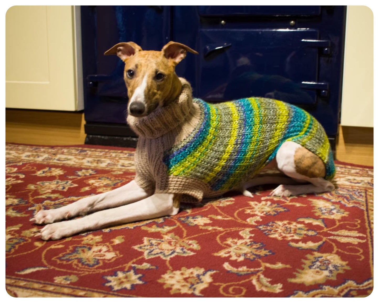 HANDMADE SOFT CHUNKY KNITTED GREEN WARM COSY WHIPPET JUMPER SWEATER COAT