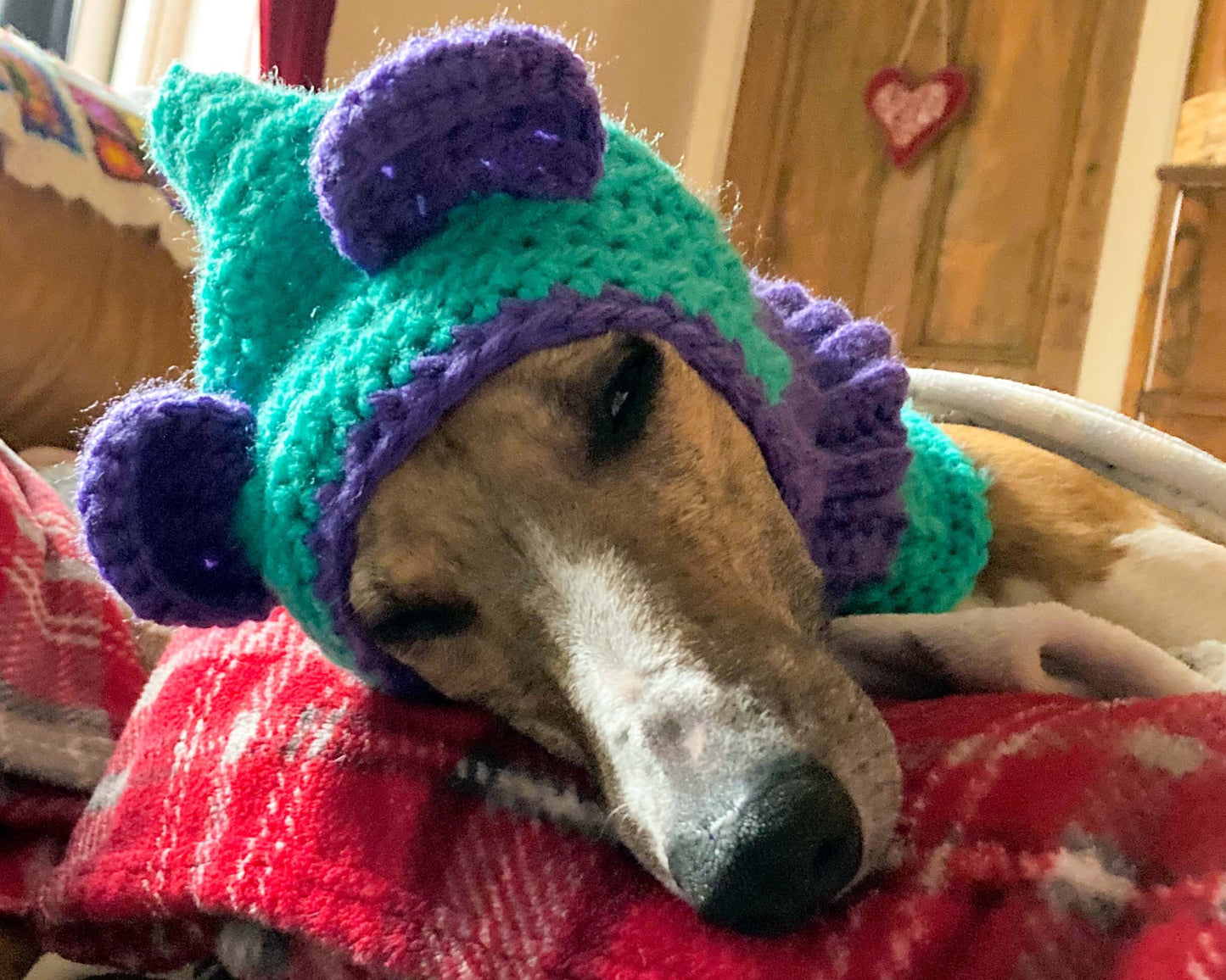 HANDMADE KNITTED WHIPPET SNOOD POINTY HOOD TEDDY BEAR EARS POM POM HAT