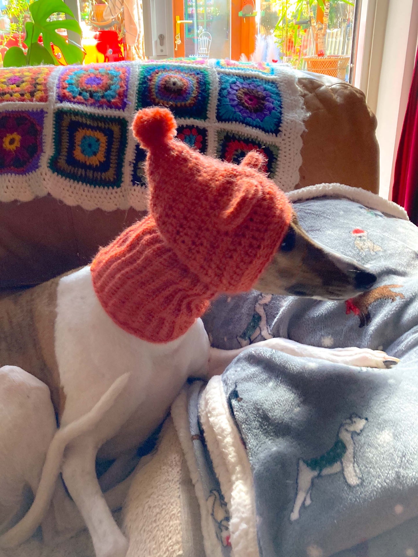 HANDMADE KNITTED WHIPPET SNOOD POINTY HOOD TEDDY BEAR EARS POM POM HAT