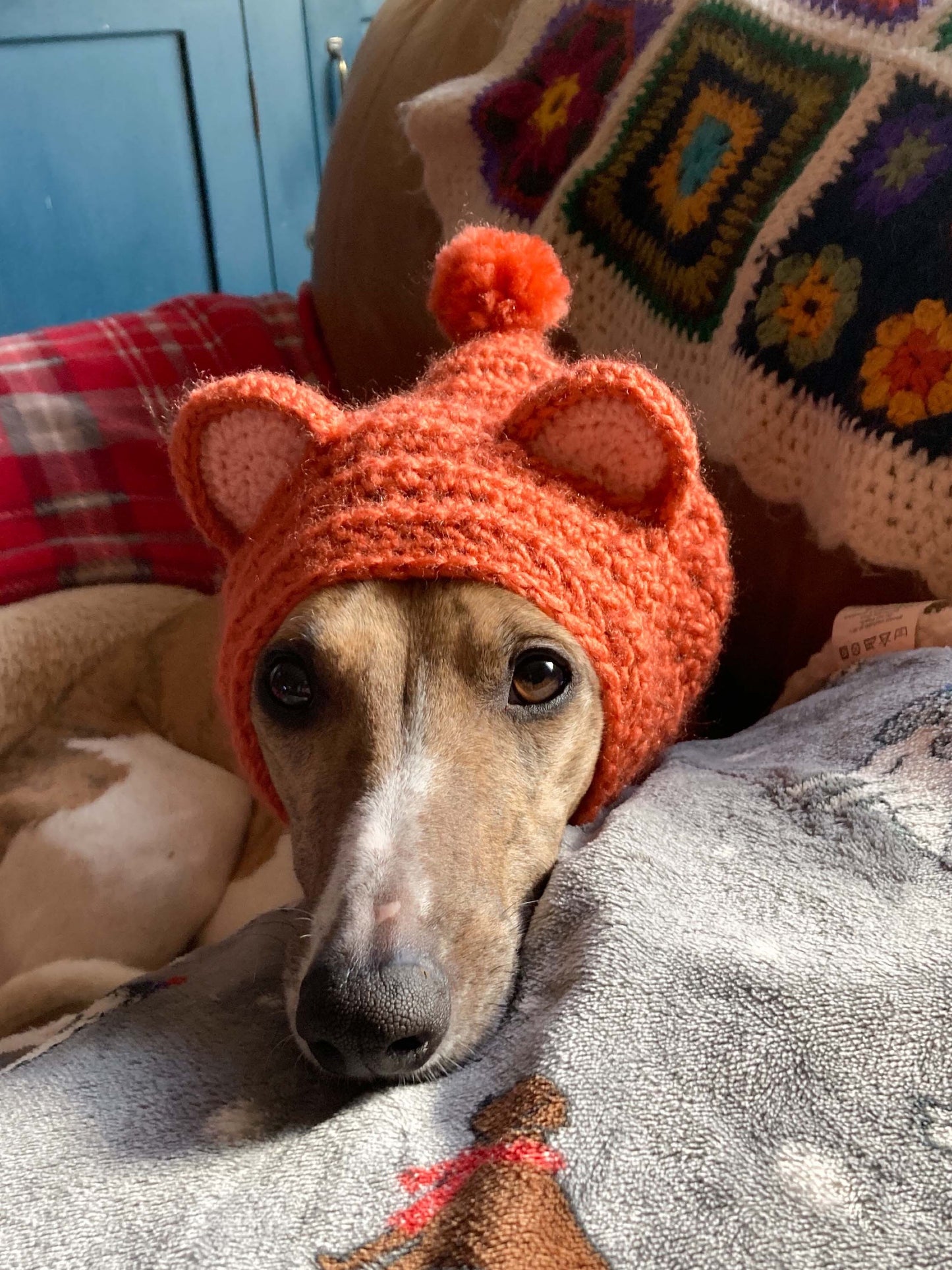 HANDMADE KNITTED WHIPPET SNOOD POINTY HOOD TEDDY BEAR EARS POM POM HAT