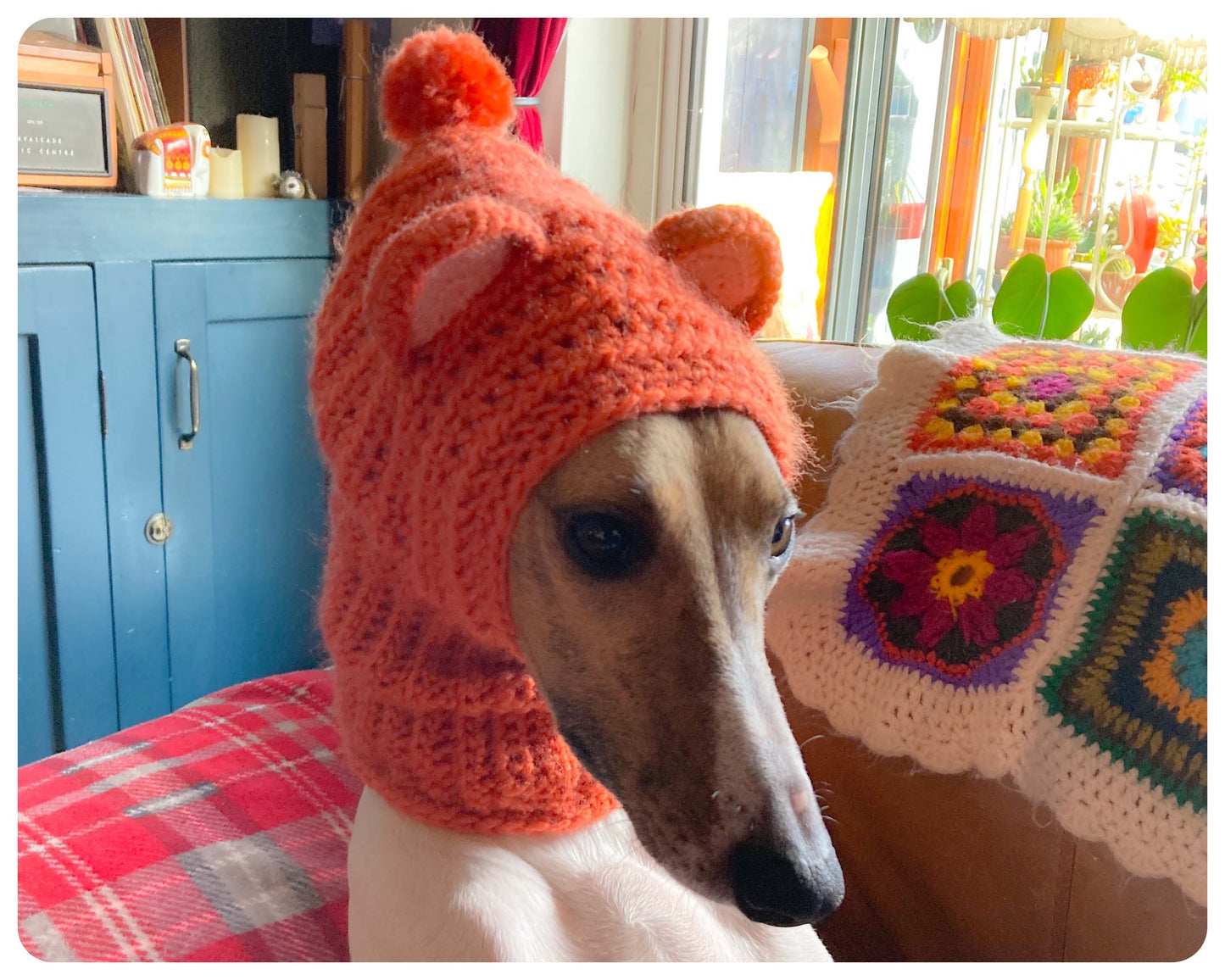 HANDMADE KNITTED WHIPPET SNOOD POINTY HOOD TEDDY BEAR EARS POM POM HAT