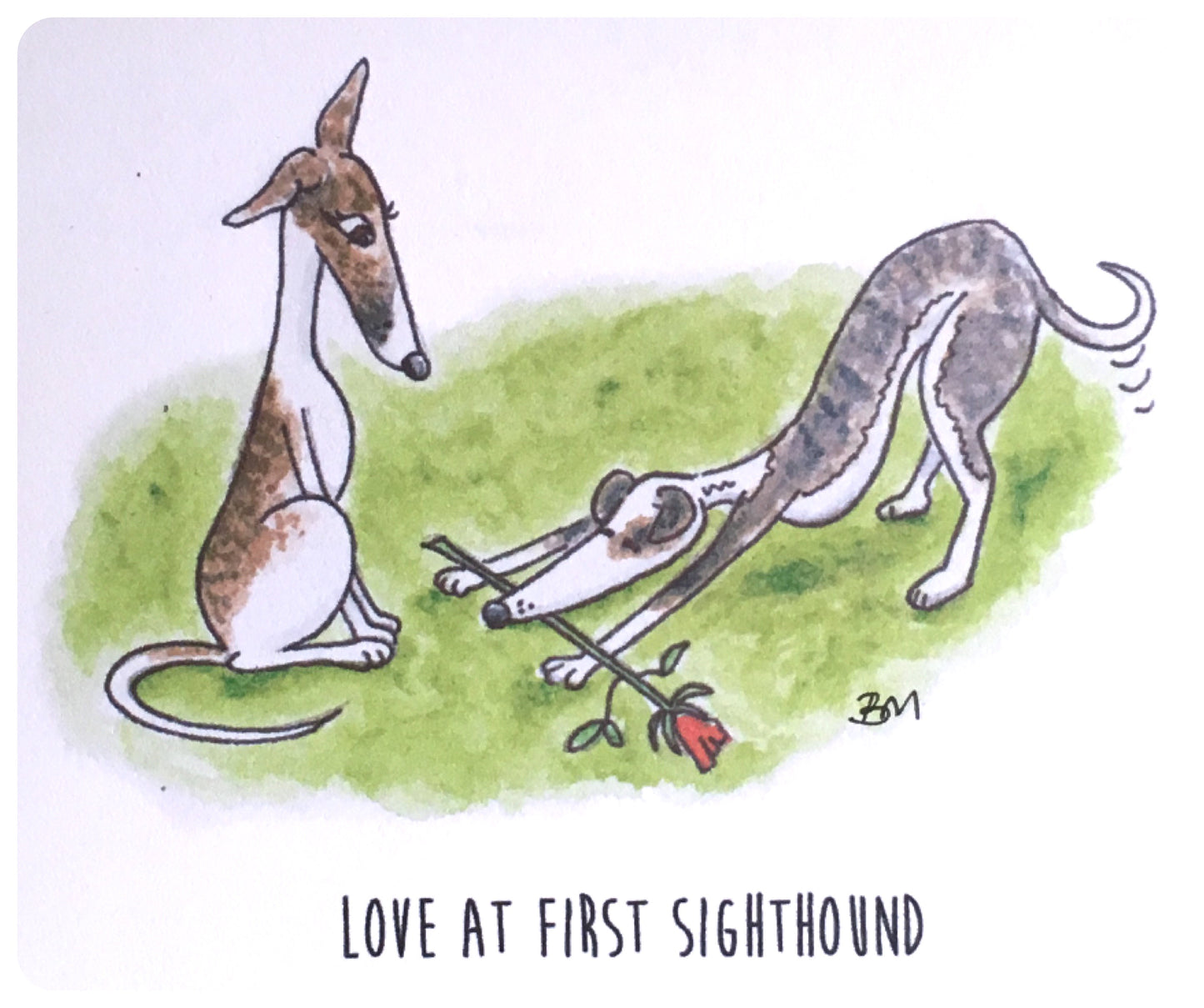 WHIPPET GREYHOUND SIGHTHOUND LURCHER ITALIAN GREYHOUND LOVE ROSE ART ILLUSTRATION GREETINGS CARD