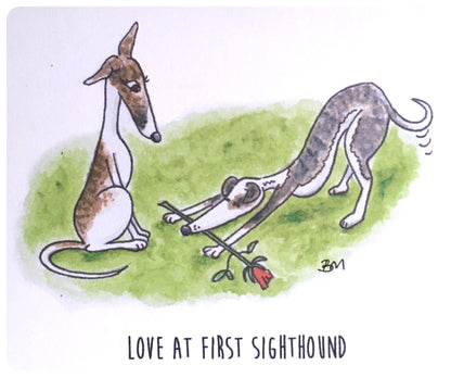 WHIPPET GREYHOUND SIGHTHOUND LURCHER ITALIAN GREYHOUND LOVE ROSE ART ILLUSTRATION GREETINGS CARD