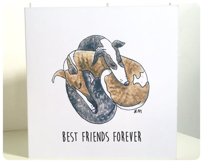 WHIPPET GREYHOUND SIGHTHOUND LURCHER ITALIAN GREYHOUND BEST FRIENDS ART ILLUSTRATION GREETINGS CARD