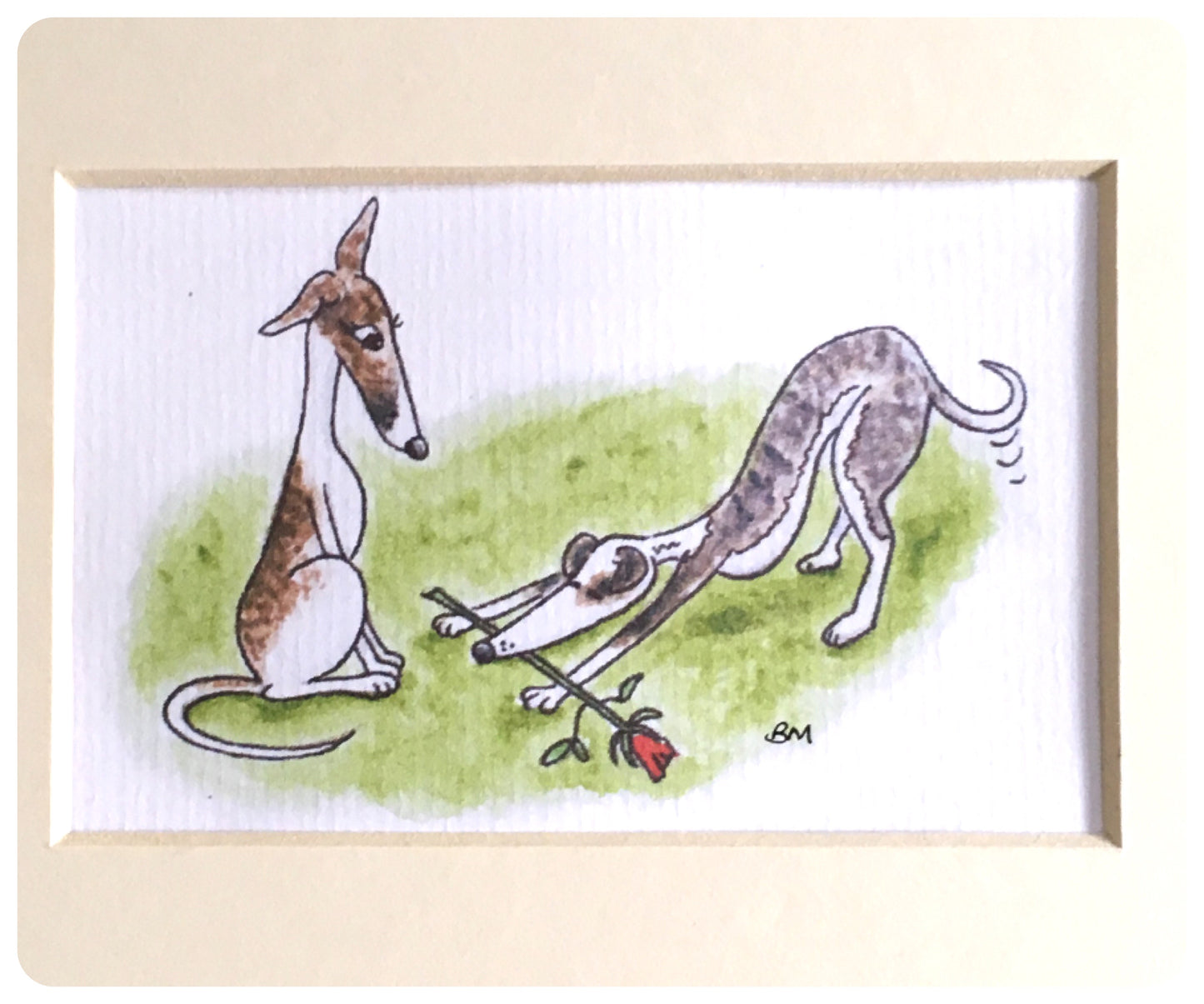 WHIPPET GREYHOUND SIGHTHOUND LURCHER ITALIAN GREYHOUND ART ILLUSTRATION WATERCOLOUR LOVE ROSE CUTE