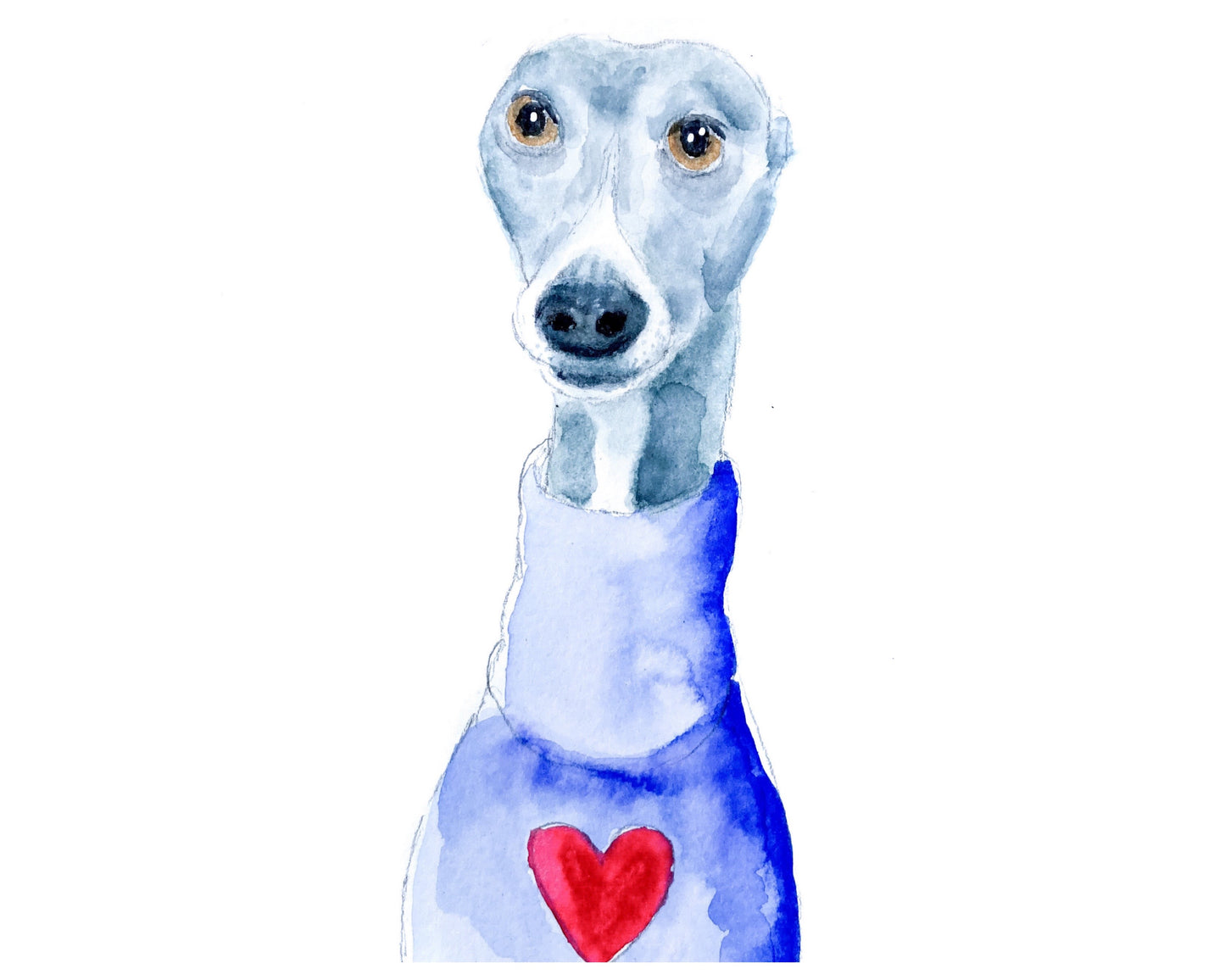 GREY BLUE WHITE WHIPPET GREYHOUND SIGHTHOUND LURCHER ITALIAN GREYHOUND LOVE HEART SWEATER LOVE YOU ART ILLUSTRATION GREETINGS CARD