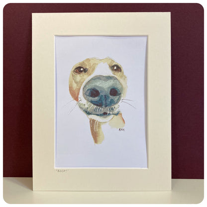 WHIPPET GREYHOUND SIGHTHOUND LURCHER ITALIAN GREYHOUND ART ILLUSTRATION WATERCOLOUR SNOOT BOOP CUTE