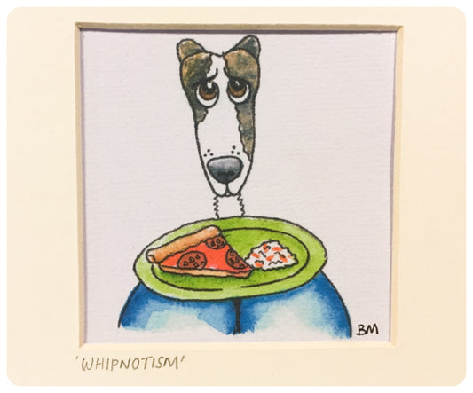 WHIPPET GREYHOUND SIGHTHOUND LURCHER ITALIAN GREYHOUND ART MOUNT ILLUSTRATION WATERCOLOUR FOOD WHIPNOTISM CUTE FUNNY