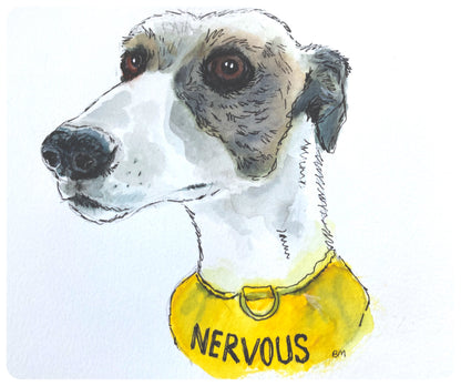 NERVOUS WHIPPET GREYHOUND SIGHTHOUND LURCHER ITALIAN GREYHOUND ART ILLUSTRATION GREETINGS CARD