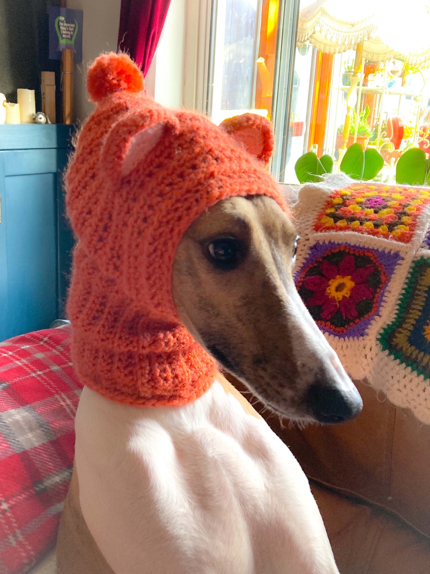 HANDMADE KNITTED WHIPPET SNOOD POINTY HOOD TEDDY BEAR EARS POM POM HAT