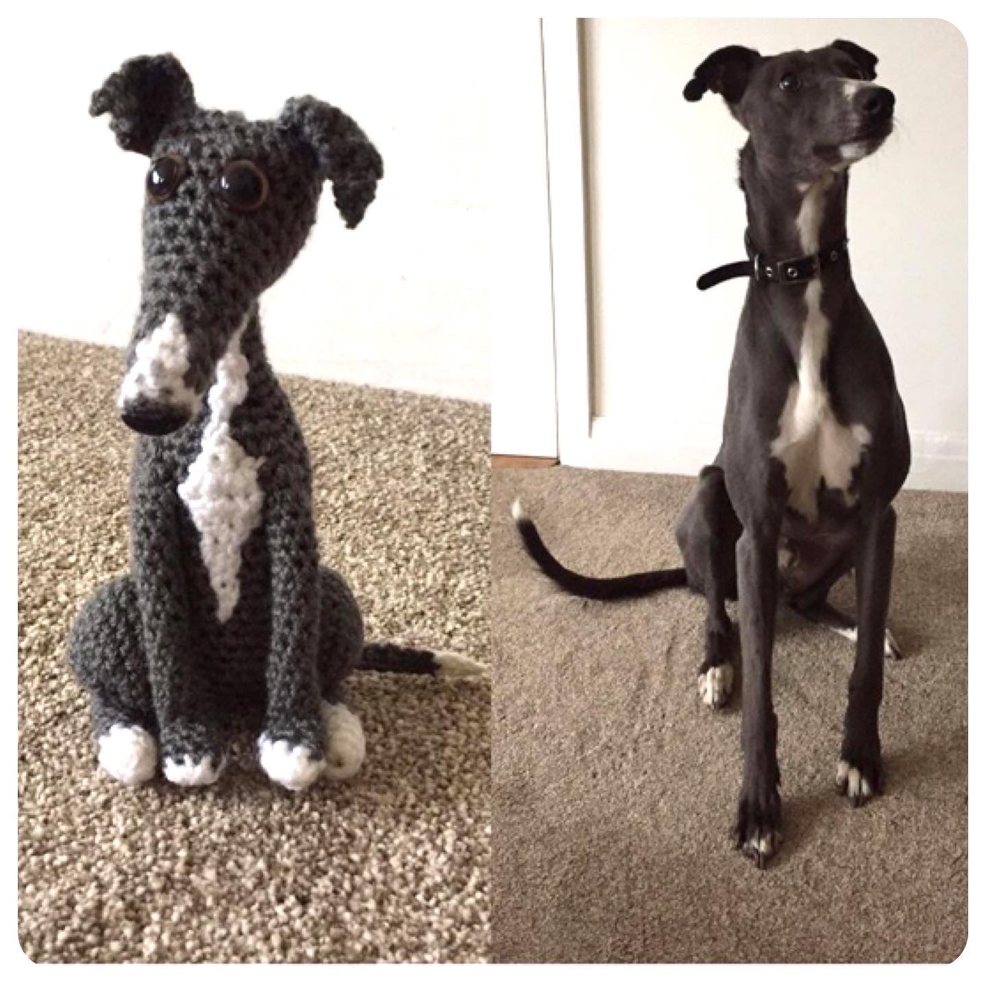 Toy Greyhound, Italian Toy Greyhound Gifts