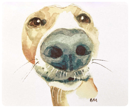 WHIPPET GREYHOUND SIGHTHOUND LURCHER ITALIAN GREYHOUND ART ILLUSTRATION WATERCOLOUR SNOOT BOOP CUTE