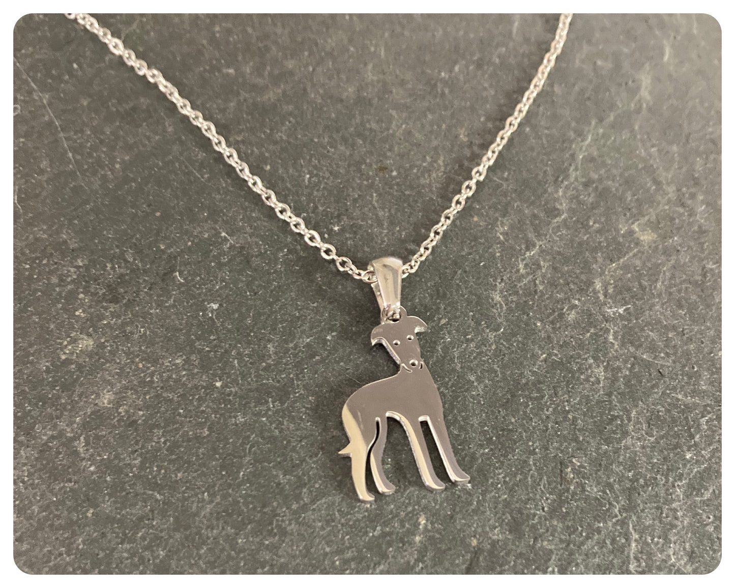 SILVER STAINLESS STEEL GREYHOUND WHIPPET SIGHTHOUND LURCHER CHARM NECKLACE CHAIN & TINY CUTE STUD EARRINGS SET KEEPSAKE GIFT