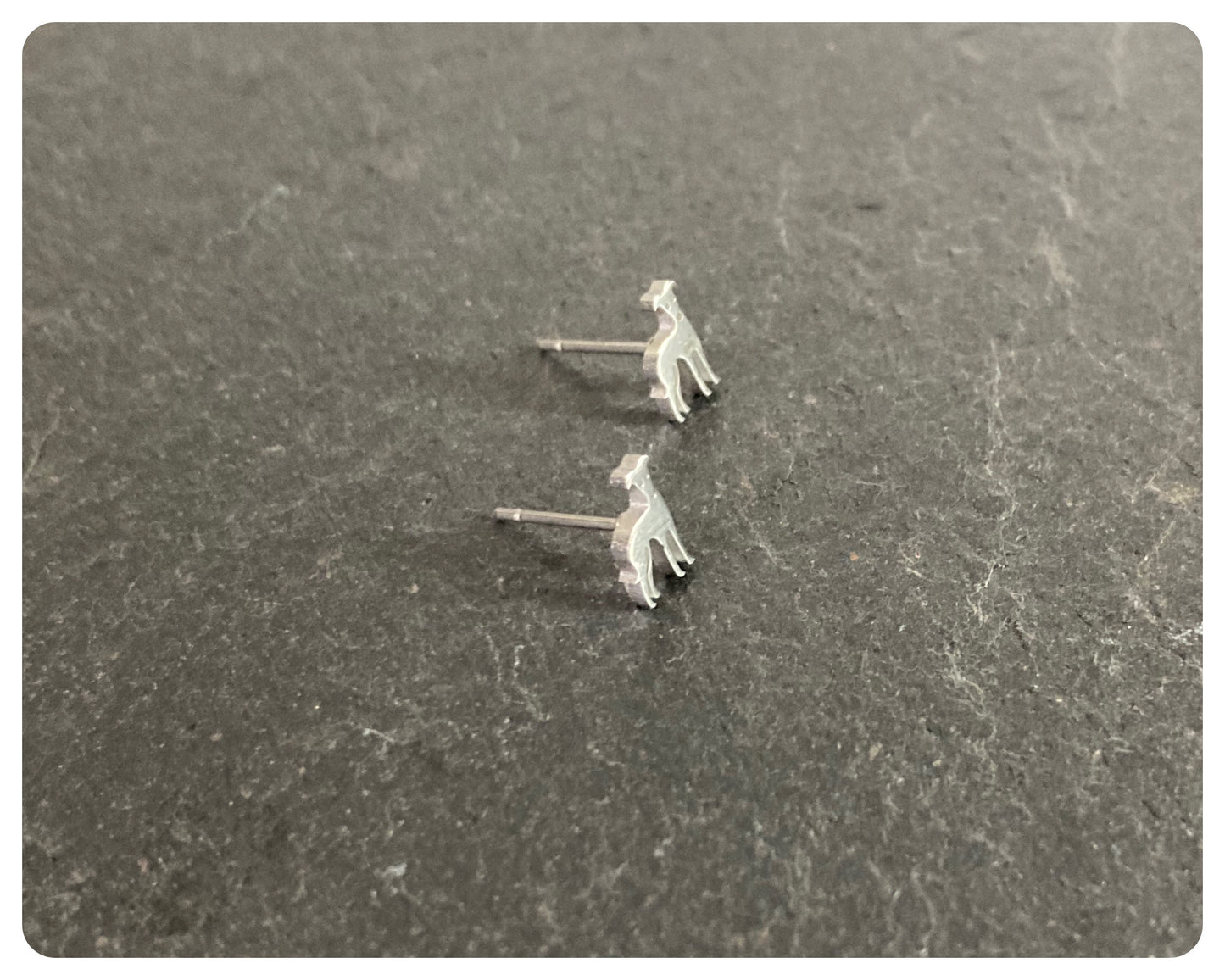 SILVER STAINLESS STEEL GREYHOUND WHIPPET SIGHTHOUND LURCHER CHARM NECKLACE CHAIN & TINY CUTE STUD EARRINGS SET KEEPSAKE GIFT